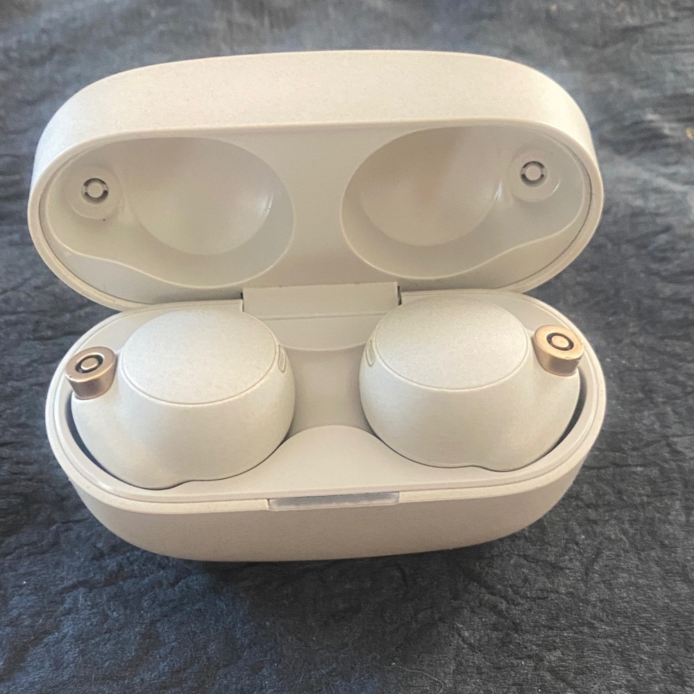 Sony Grey Earbuds with Charging Case